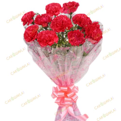 12 Red carnation bouquet