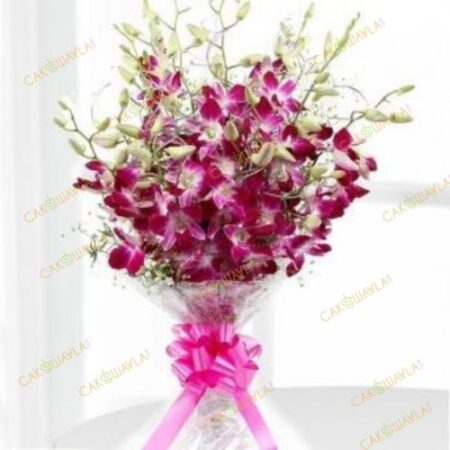 Elegant Orchids Flowers