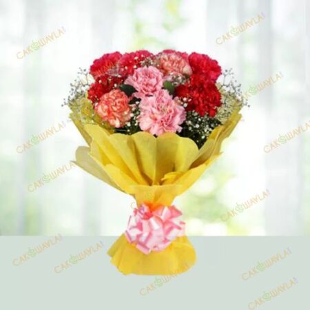 Mixed Carnations